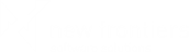 new frontiers Software GmbH - Software Solutions